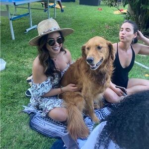 House of Harlow 1960 Brown & Cream Floral Dress